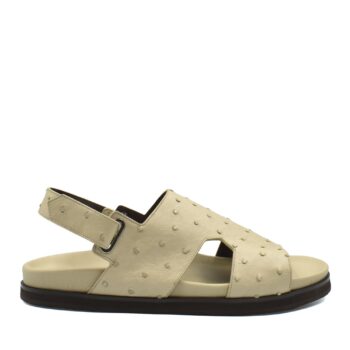 Amorti Sangle Ostrich