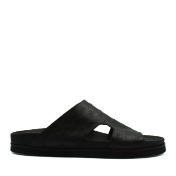 Amorti Arca Ostrich